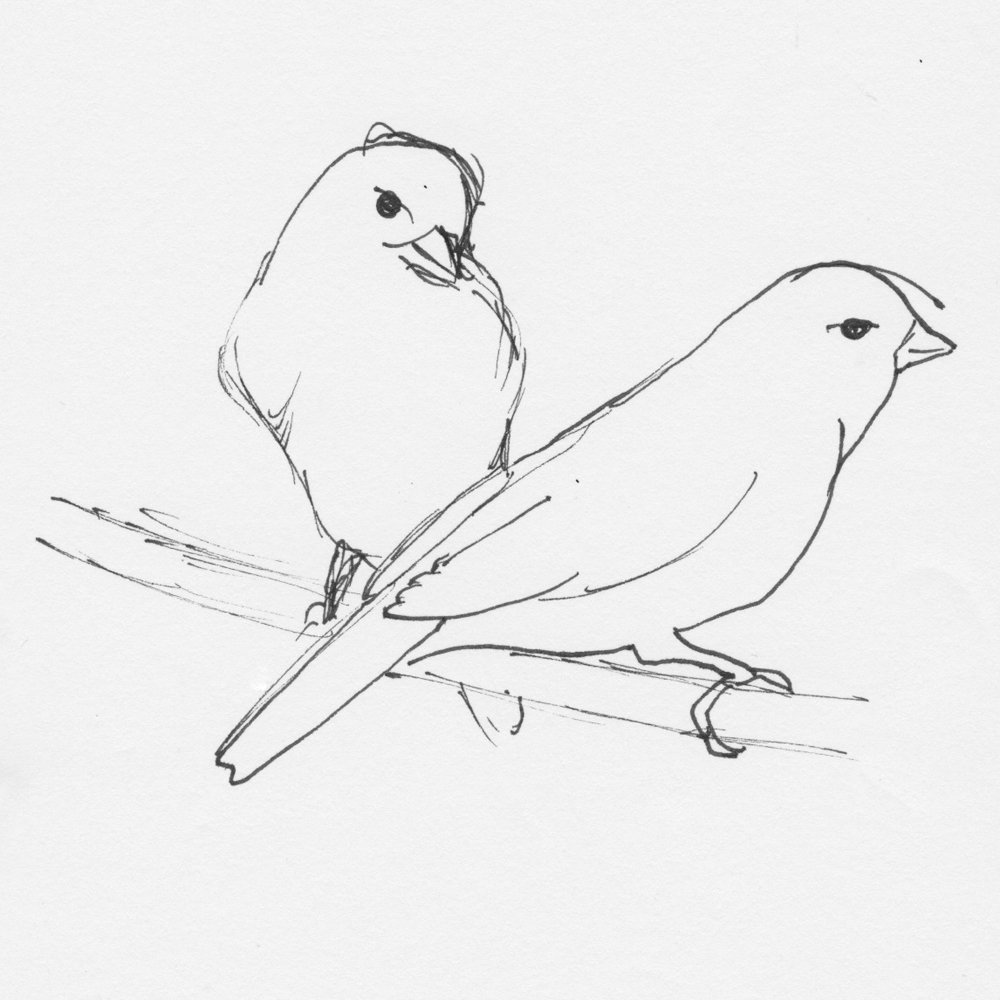 1000x1000 Vickie Hallmark Jewelry Design - Two Birds Drawing