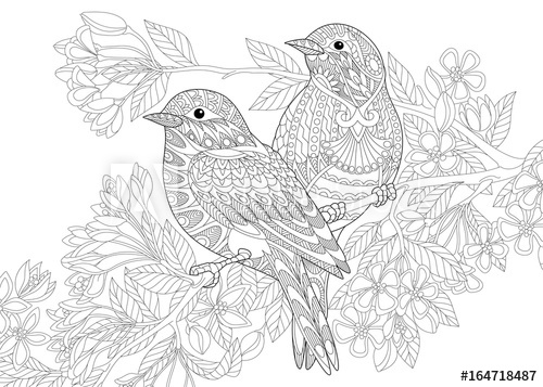 500x357 Coloring - Two Birds Drawing