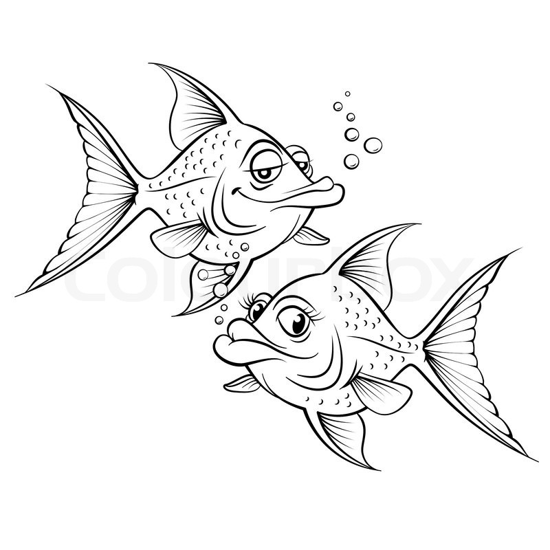 800x800 Two Drawing Cartoon Fish Stock Vector Colourbox - Two Drawing