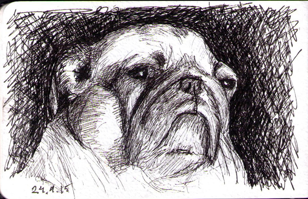 1000x648 Two Drawings Of Dogs One Drawing Daily - Two Drawing