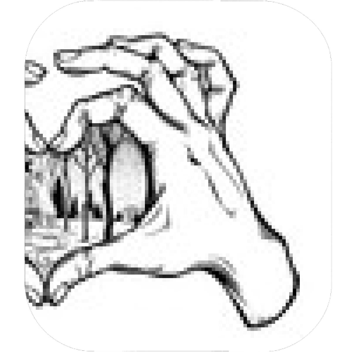 Two Hands Making A Heart Drawing