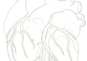 300x210 Drawing Of Two Hands Making A Heart Ways To Draw A Couple - Two Hands Making A Heart Drawing