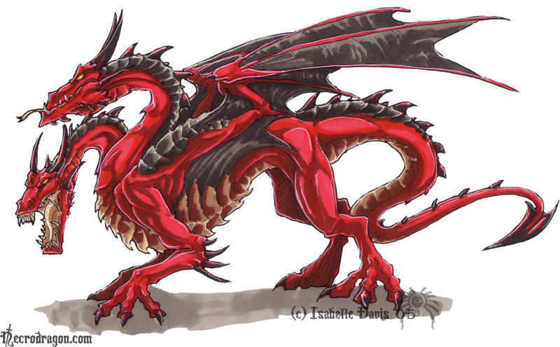 800x496 Two Headed Dark Dragon - Two Headed Dragon Drawing