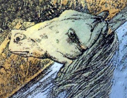 425x328 fun with ambiguous images - Two Pictures In One Drawing