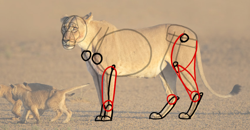 850x442 How To Draw On A Tiny Budget Single Pencil Drawing - Two Pictures In One Drawing