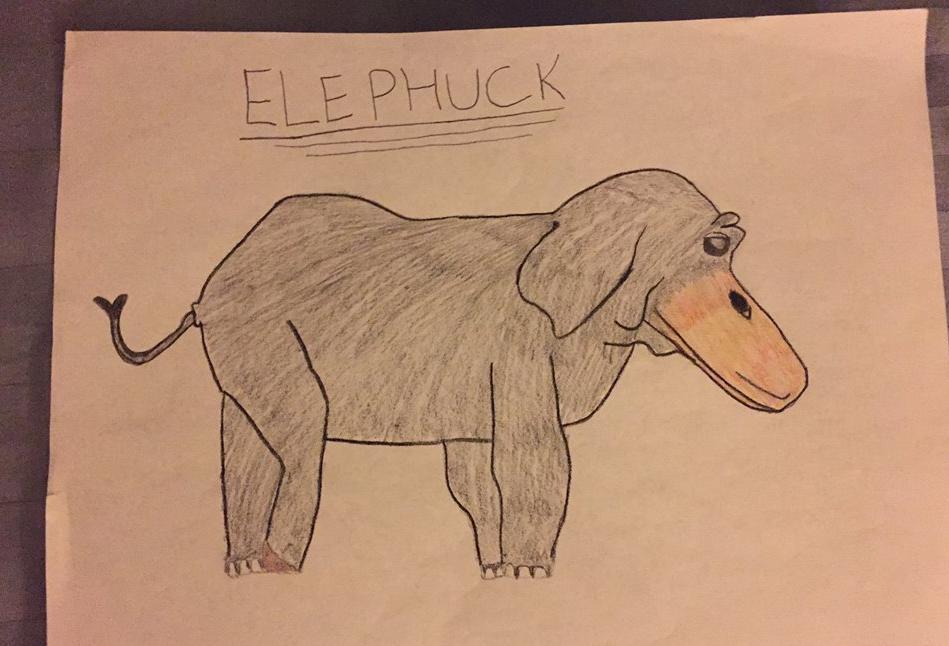 949x646 my cousin was asked to combine two animals into one for biology - Two Pictures In One Drawing