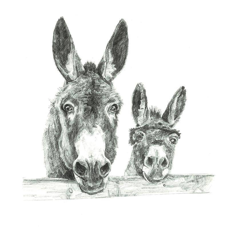 794x794 Print Two Donkeys Pencil Drawing Etsy - Two Pictures In One Drawing