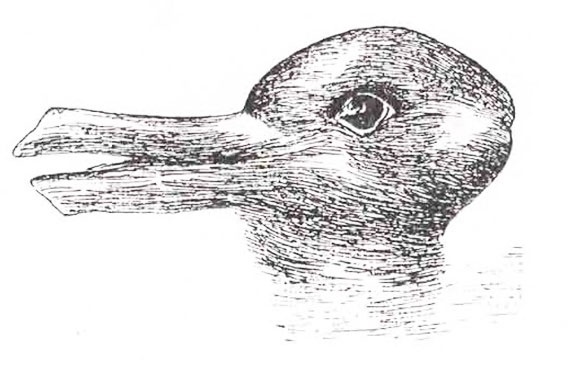 570x384 Things You Cannot Unsee - Two Pictures In One Drawing