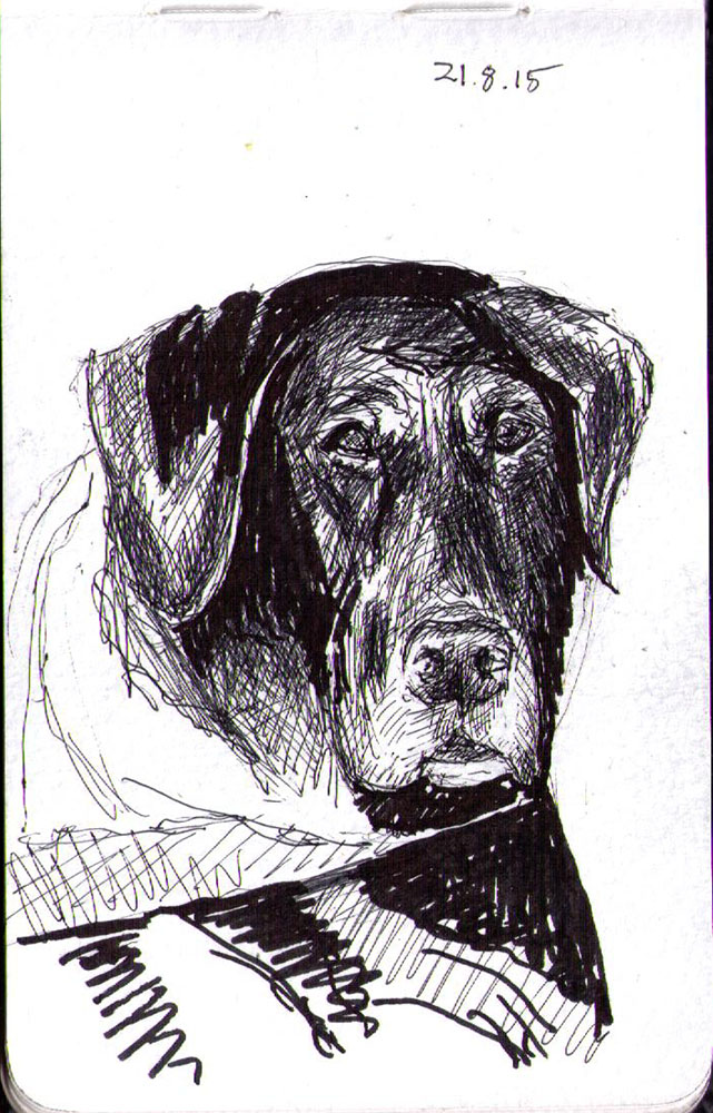 641x1000 Dog Drawings Two Of Them Commissions One Drawing Daily - Two Pictures In One Drawing