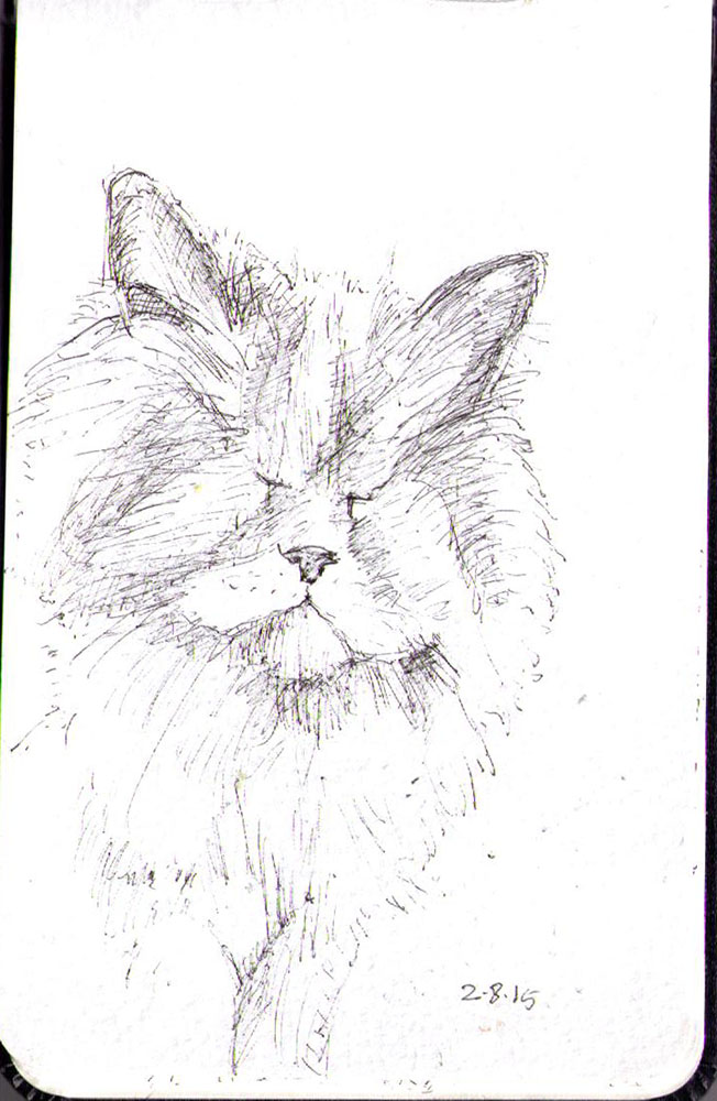 652x1000 drawings from the last two weeks one drawing daily - Two Pictures In One Drawing