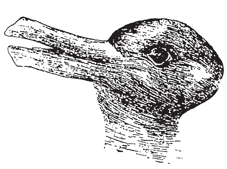 773x576 bistable drawings 'ambiguous figures' such as this one are - Two Pictures In One Drawing