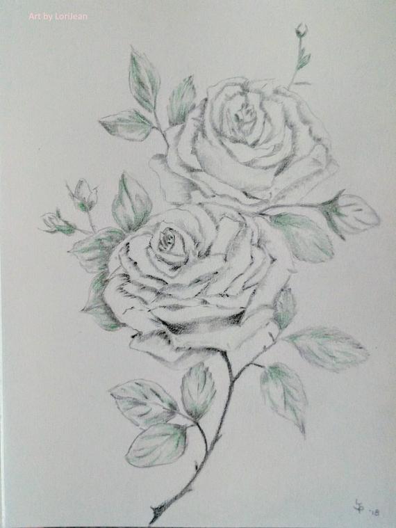 570x759 Roses In Grey Scale Graphite Drawing With Colored Pencil Etsy - Two Roses Drawing