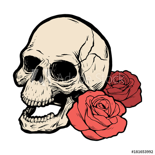 500x500 Skull With Two Roses Vector Illustration - Two Roses Drawing
