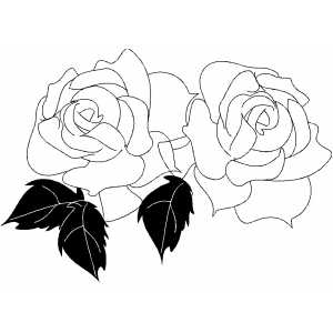 300x300 Two Roses Coloring Page - Two Roses Drawing