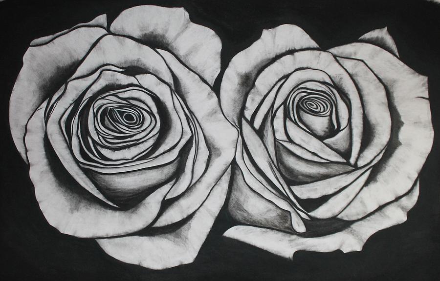 Two Roses Drawing at Explore collection of Two