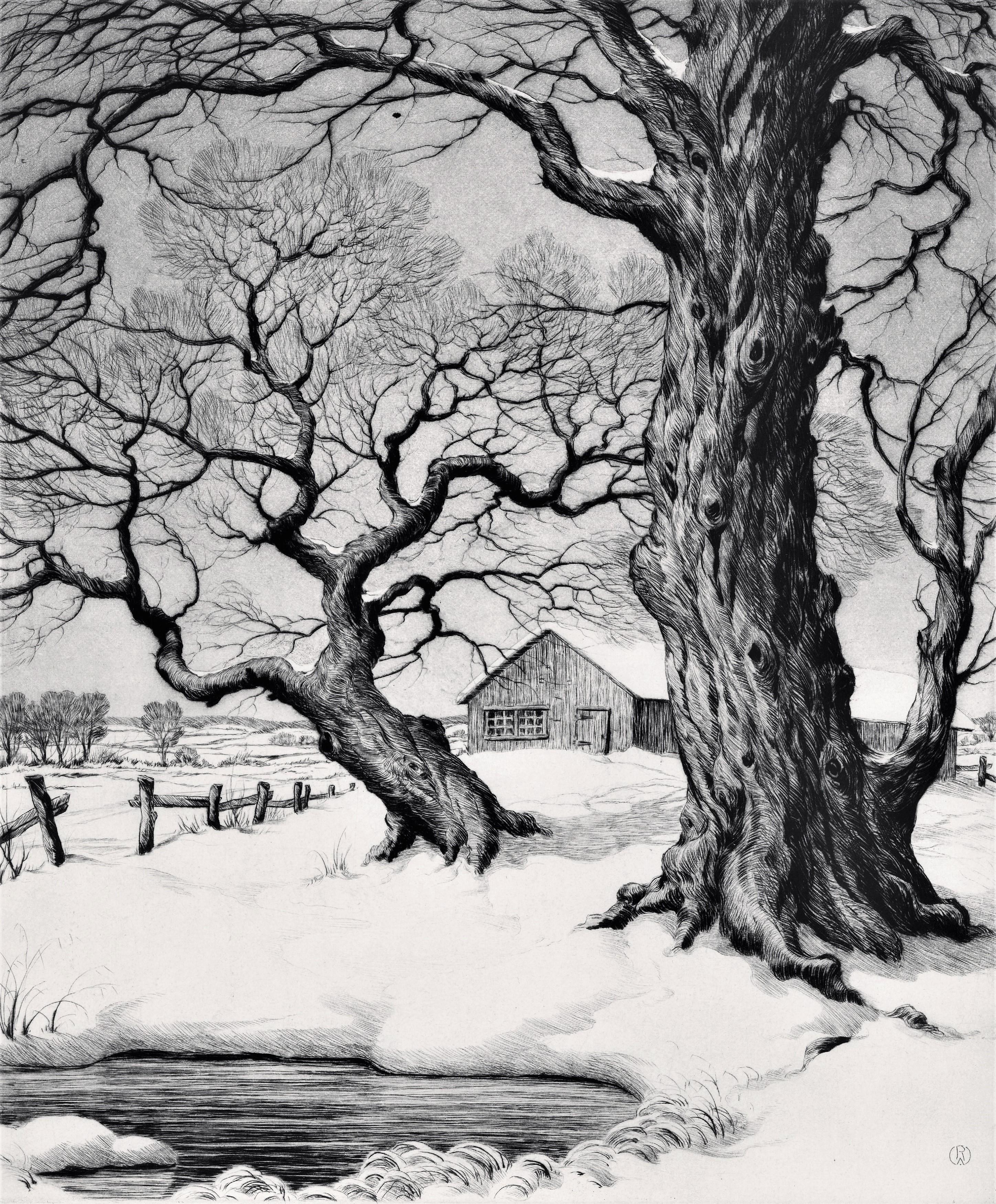 2896x3500 Ronau William Woiceske - Two Trees Drawing