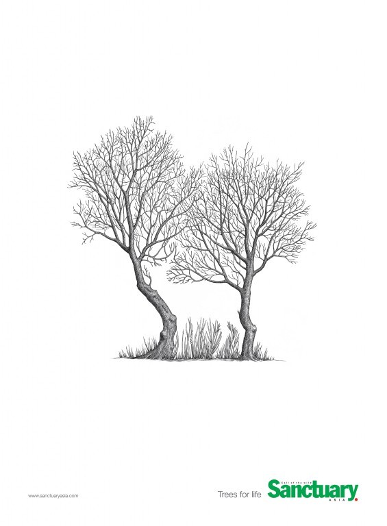 565x768 Sonal Dabral - Two Trees Drawing