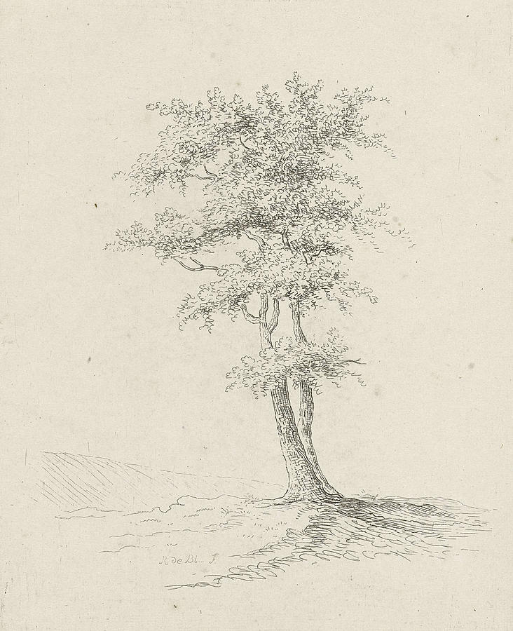 732x900 Two Trees, Baron Reinierus Albertus Ludovicus Van Isendoorn - Two Trees Drawing