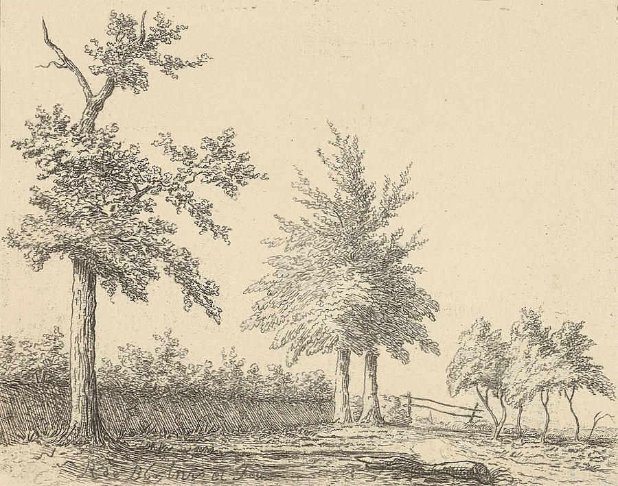 900x709 A Landscape With A Tree Left, In The Middle Two Trees Drawing - Two Trees Drawing