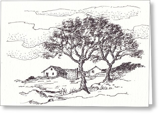 646x470 Two Trees Drawing - Two Trees Drawing