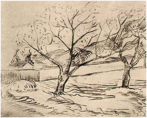 614x493 Two Trees - Two Trees Drawing