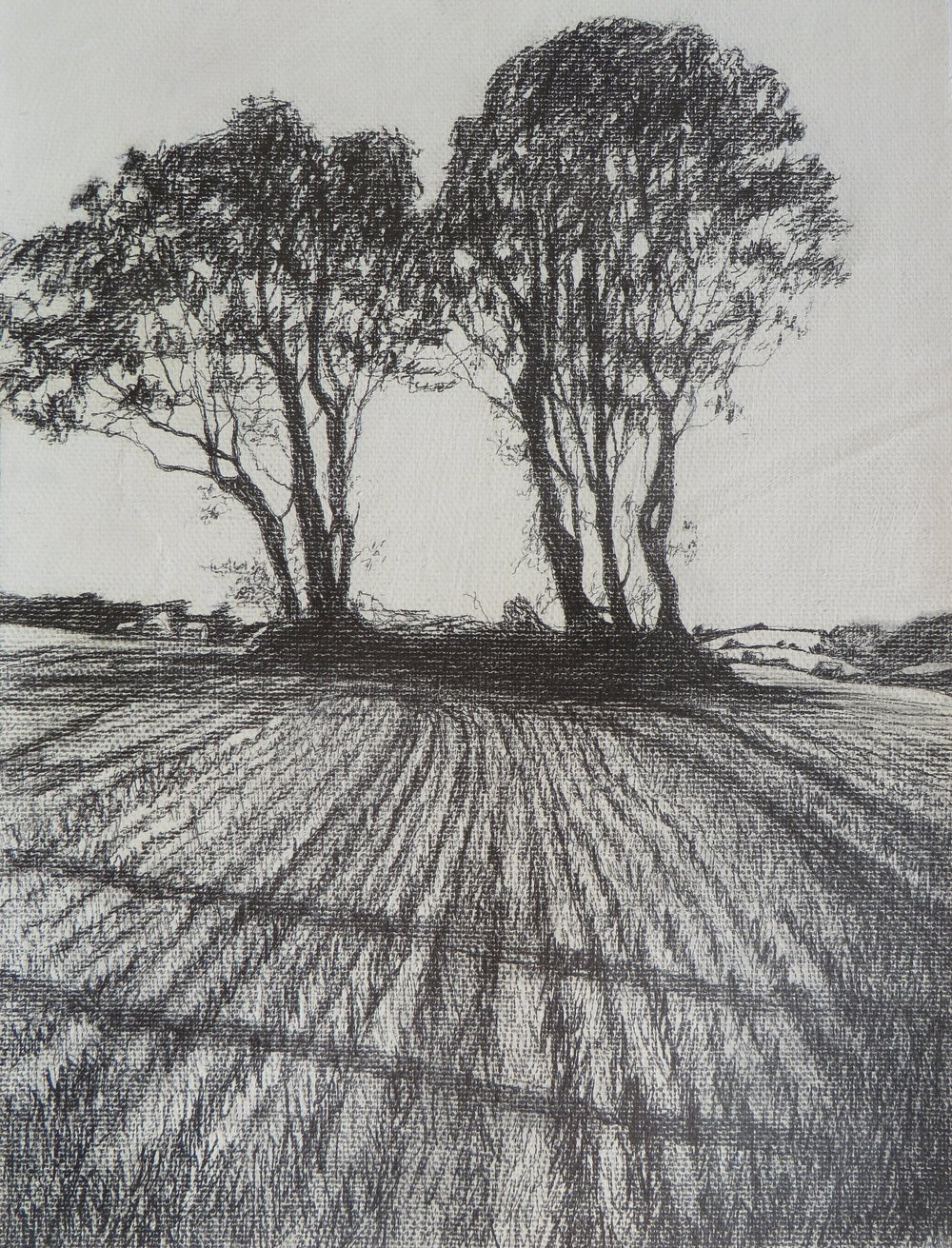 1000x1311 two trees janet murran - Two Trees Drawing