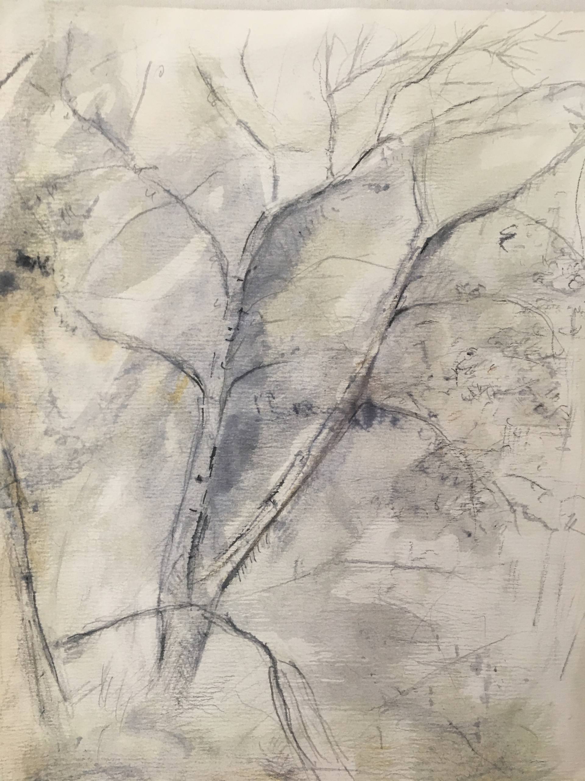 1920x2560 Two Trees Drawing - Two Trees Drawing