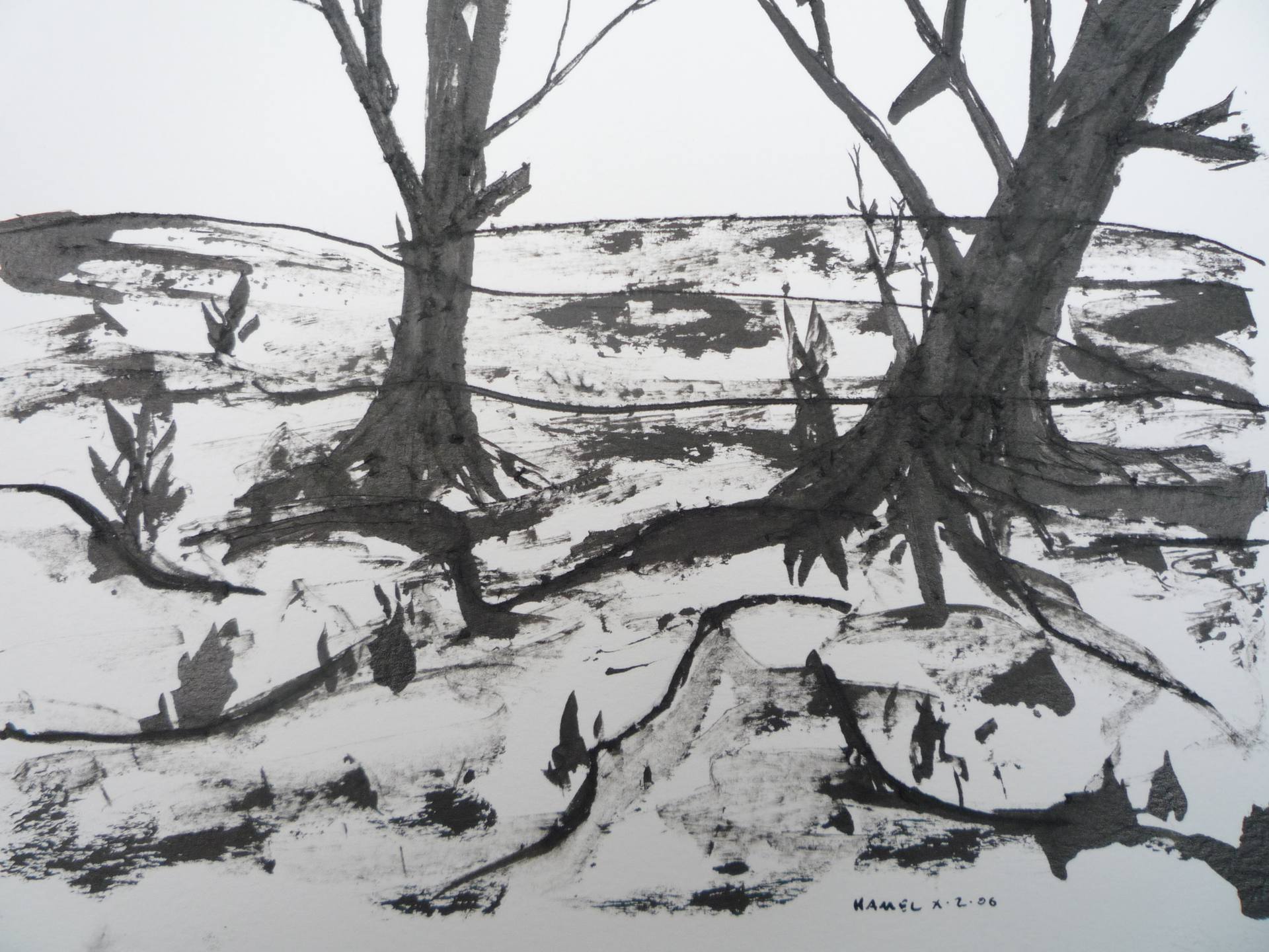 1920x1440 Two Trees And Feilds Drawing - Two Trees Drawing