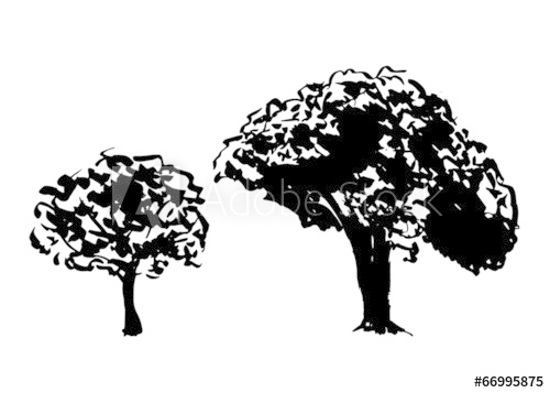 500x357 Drawing Of Two Trees Vector Illustration - Two Trees Drawing