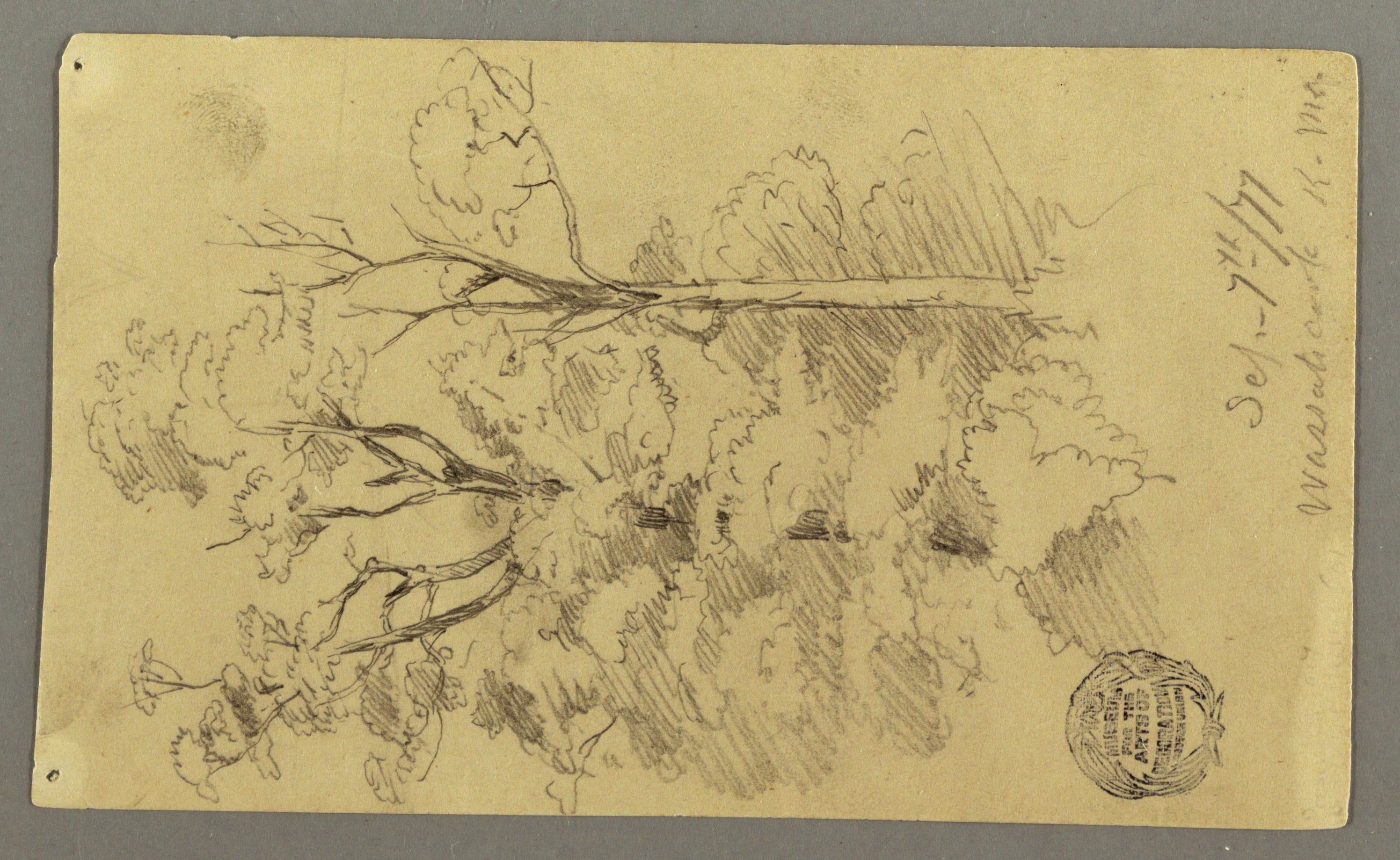 2992x1839 filedrawing, two trees - Two Trees Drawing