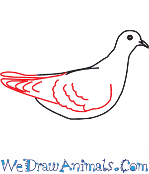 300x350 How To Draw A Ufeffturtle Dove - Two Turtle Doves Drawing