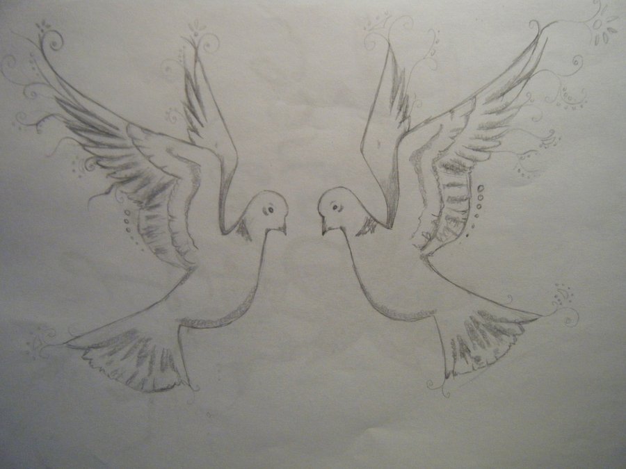 900x675 Turtle Doves Drawings - Two Turtle Doves Drawing