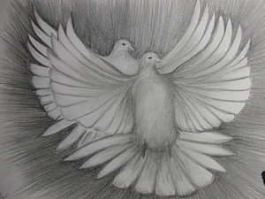 300x225 Two Turtle Doves Drawing - Two Turtle Doves Drawing