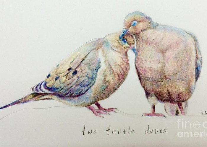 700x500 Two Turtle Doves Greeting Card For Sale - Two Turtle Doves Drawing
