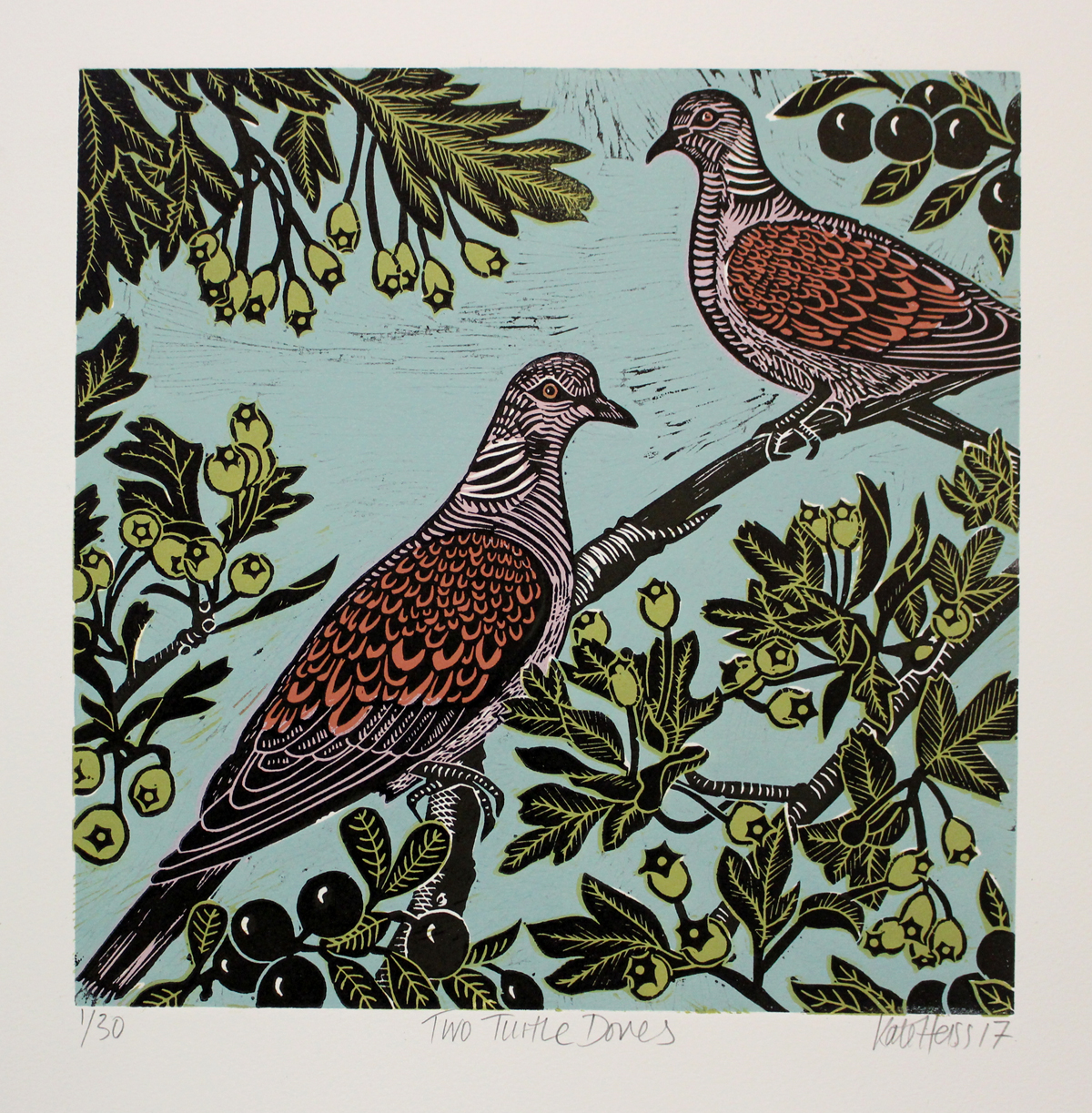 1200x1223 Two Turtle Doves - Two Turtle Doves Drawing