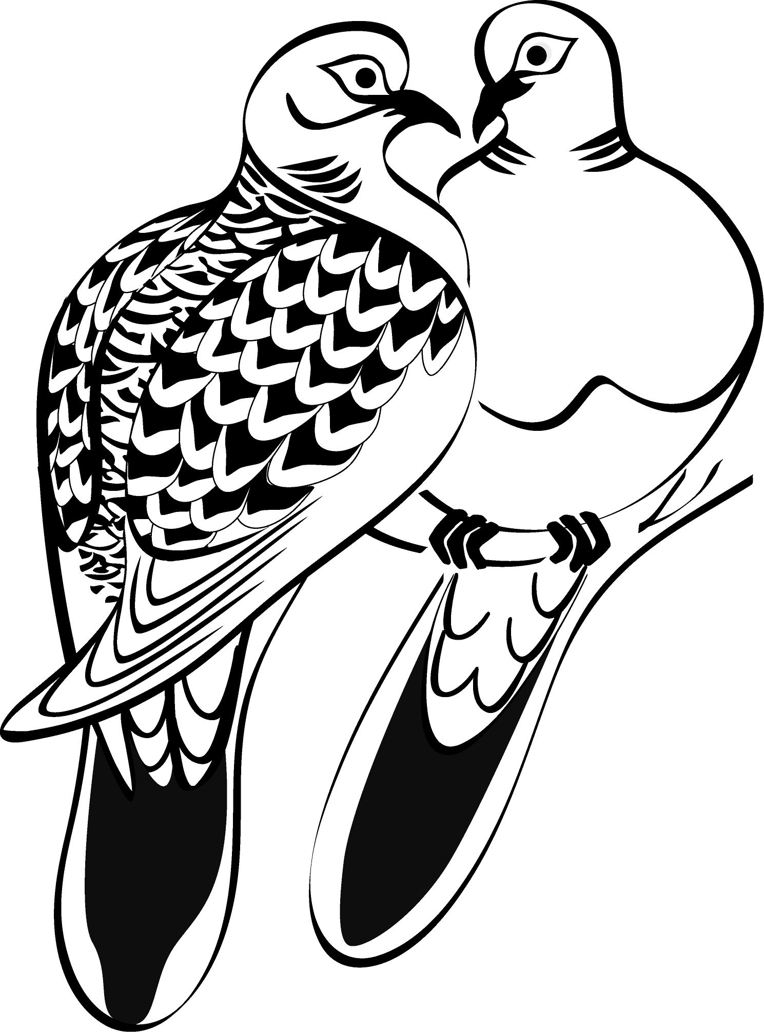 1489x2012 Two Turtle Doves - Two Turtle Doves Drawing