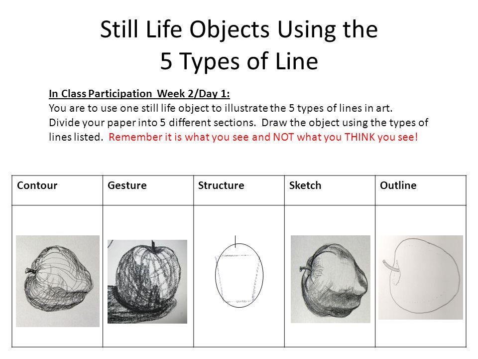 Types Of Lines In Art Drawing at PaintingValley.com | Explore