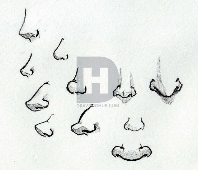 683x586 how to sketch noses, step - Types Of Noses Drawing