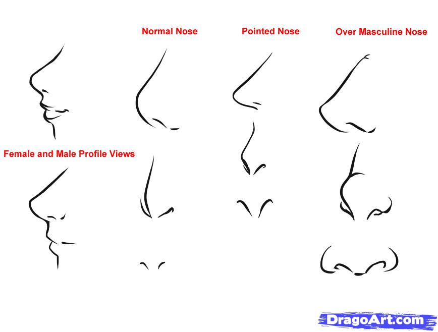 drawing different nose shapes