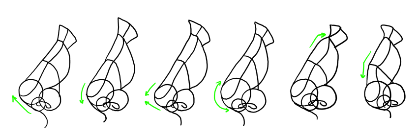 850x280 how to draw a nose - Types Of Noses Drawing