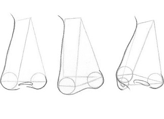 324x235 how to draw a nose from the front easy steps rapidfireart - Types Of Noses Drawing