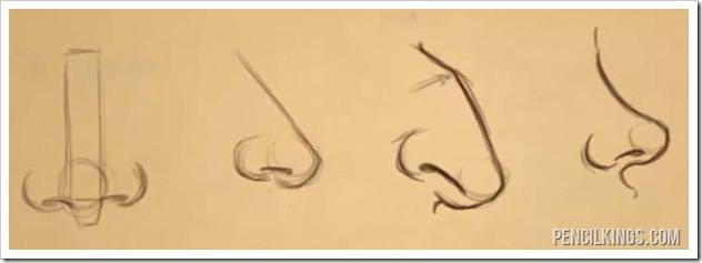 632x237 how to draw different nose shapes easily - Types Of Noses Drawing