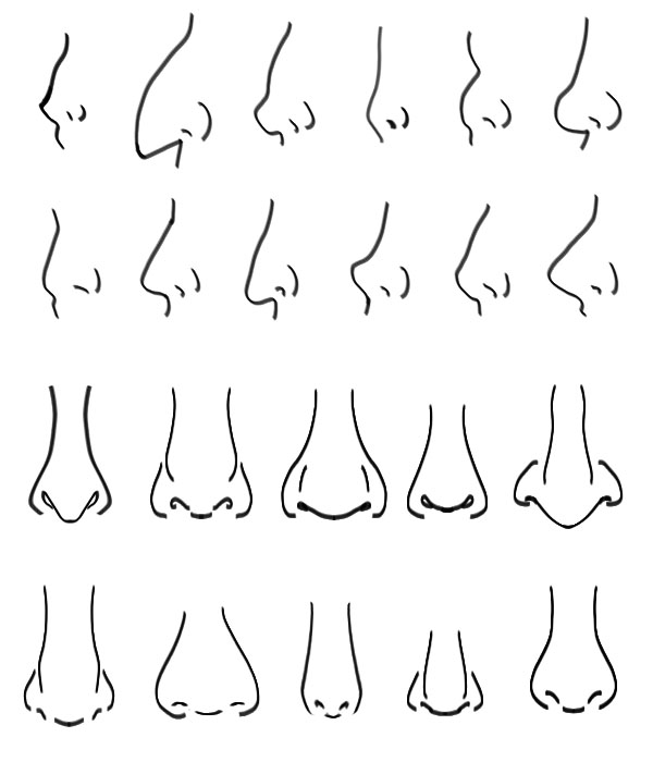 Types Of Noses Drawing at Explore