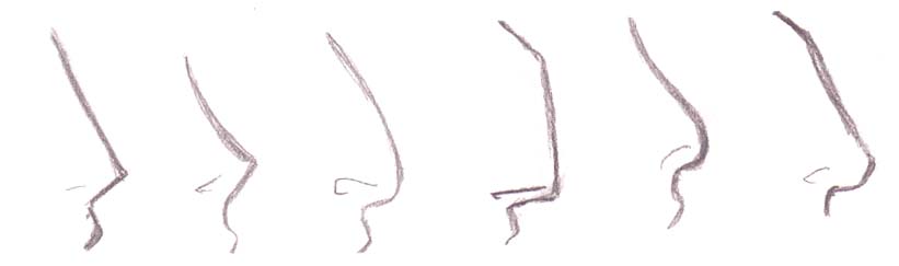 821x243 manga tutorials - Types Of Noses Drawing
