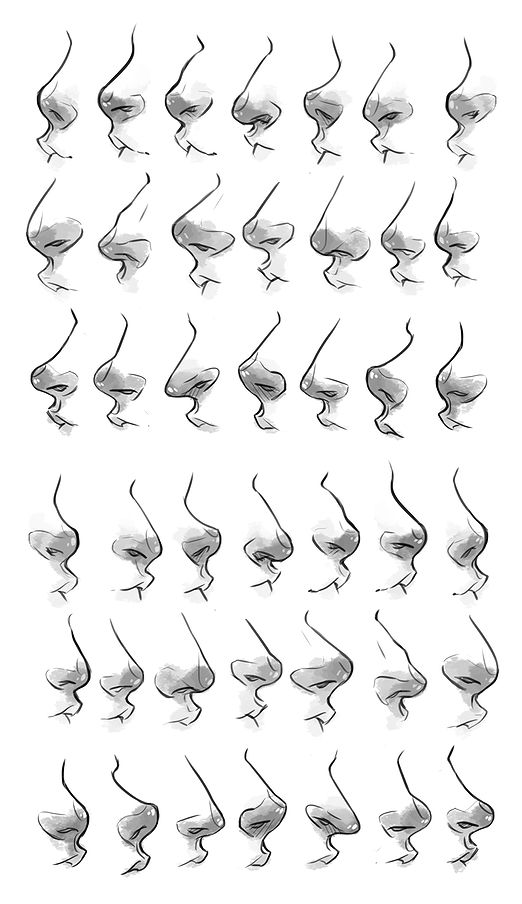 522x904 how to draw drawings, art, art sketches - Types Of Noses Drawing