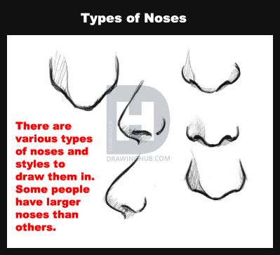 399x363 how to draw realistic people, draw real people, step - Types Of Noses Drawing