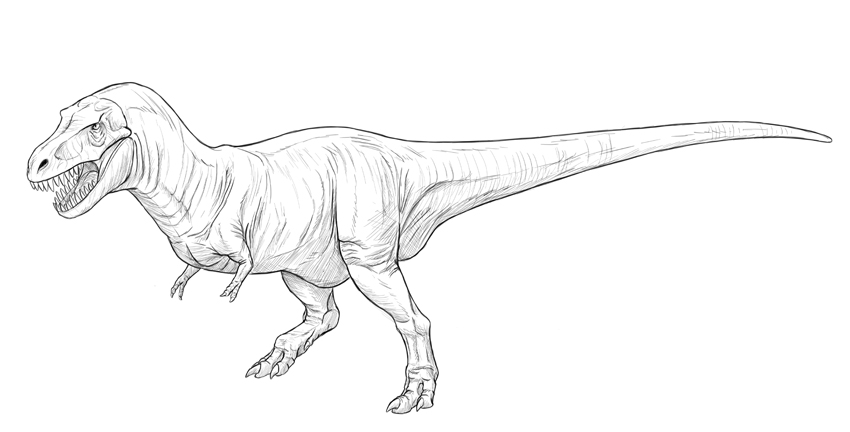 850x432 How To Draw A T Rex Dinosaur - Tyrannosaurus Drawing