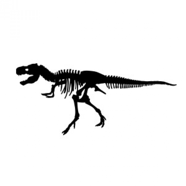 650x650 Free Vectors T Rex Skeleton Silhouette - Tyrannosaurus Rex Skeleton Drawing