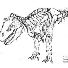 230x230 Marvelous T Rex Skeleton Coloring - Tyrannosaurus Rex Skeleton Drawing
