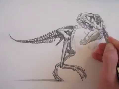 480x360 speed drawing tyrannosaurus rex skeleton - Tyrannosaurus Rex Skeleton Drawing